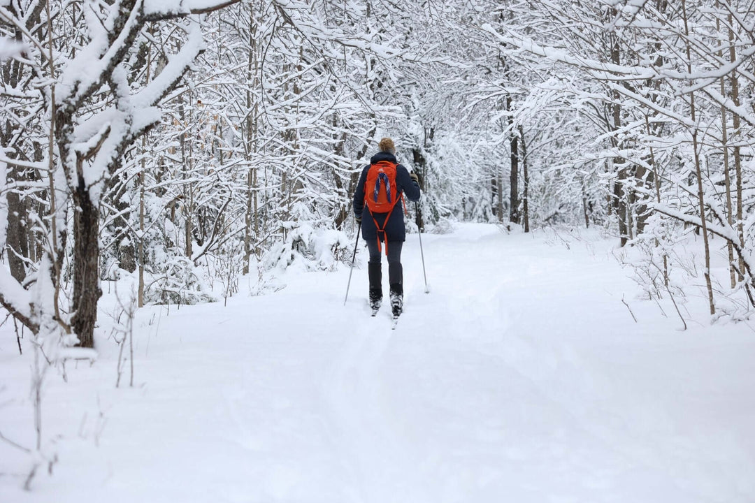 XC-Ski @ New Land Trust