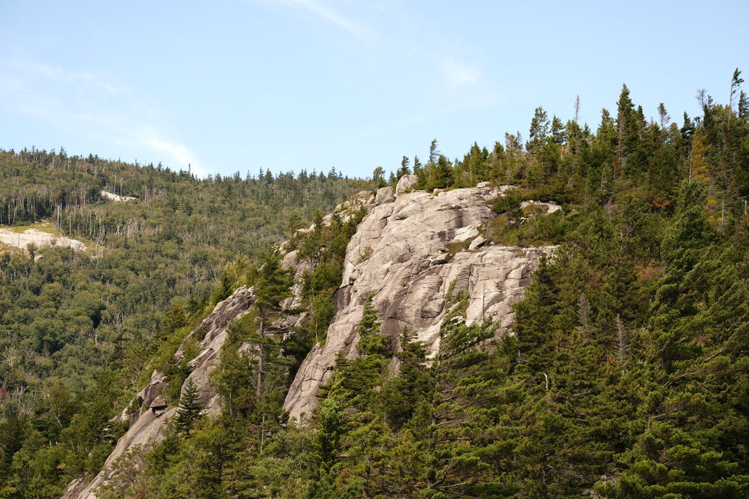 Bear Den Mountain