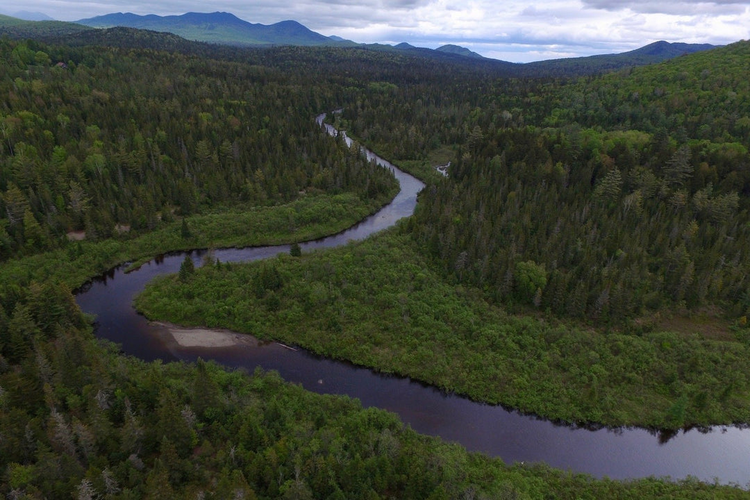 Local Spotlight: ADK Canoe Company