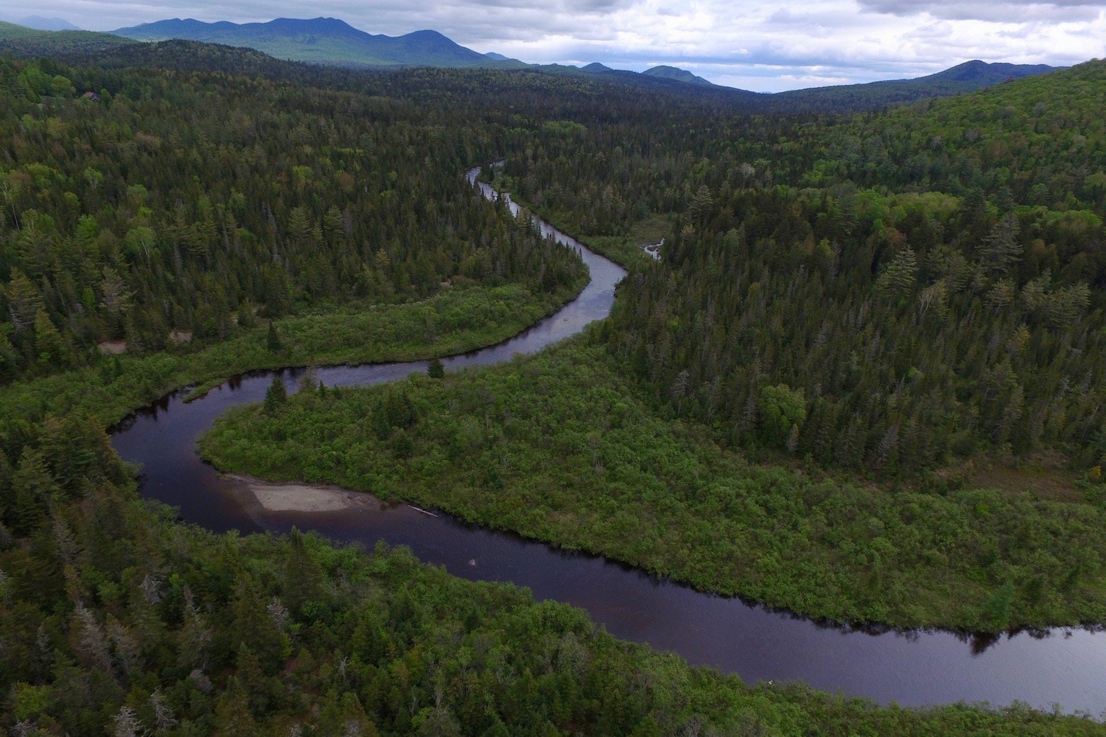 Local Spotlight: ADK Canoe Company - Pure Adirondacks