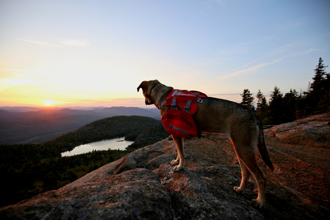 Crane Mountain