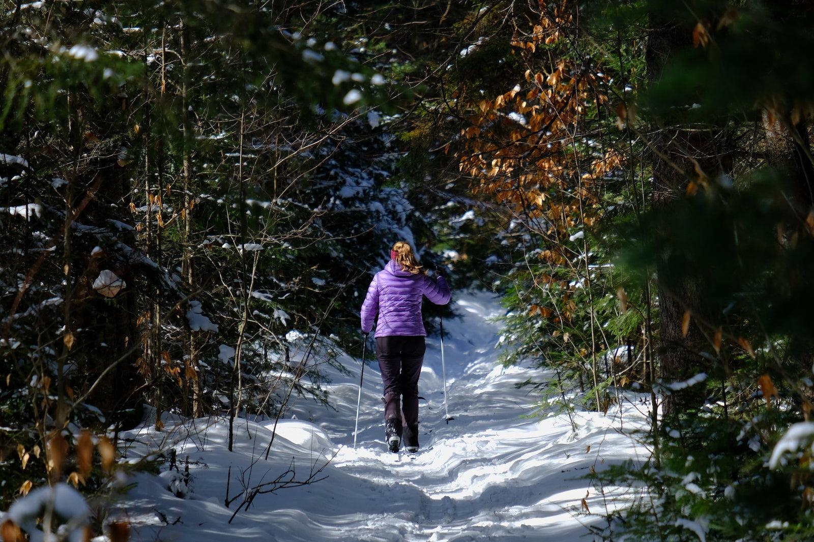 Deer Pond Loop - Pure Adirondacks
