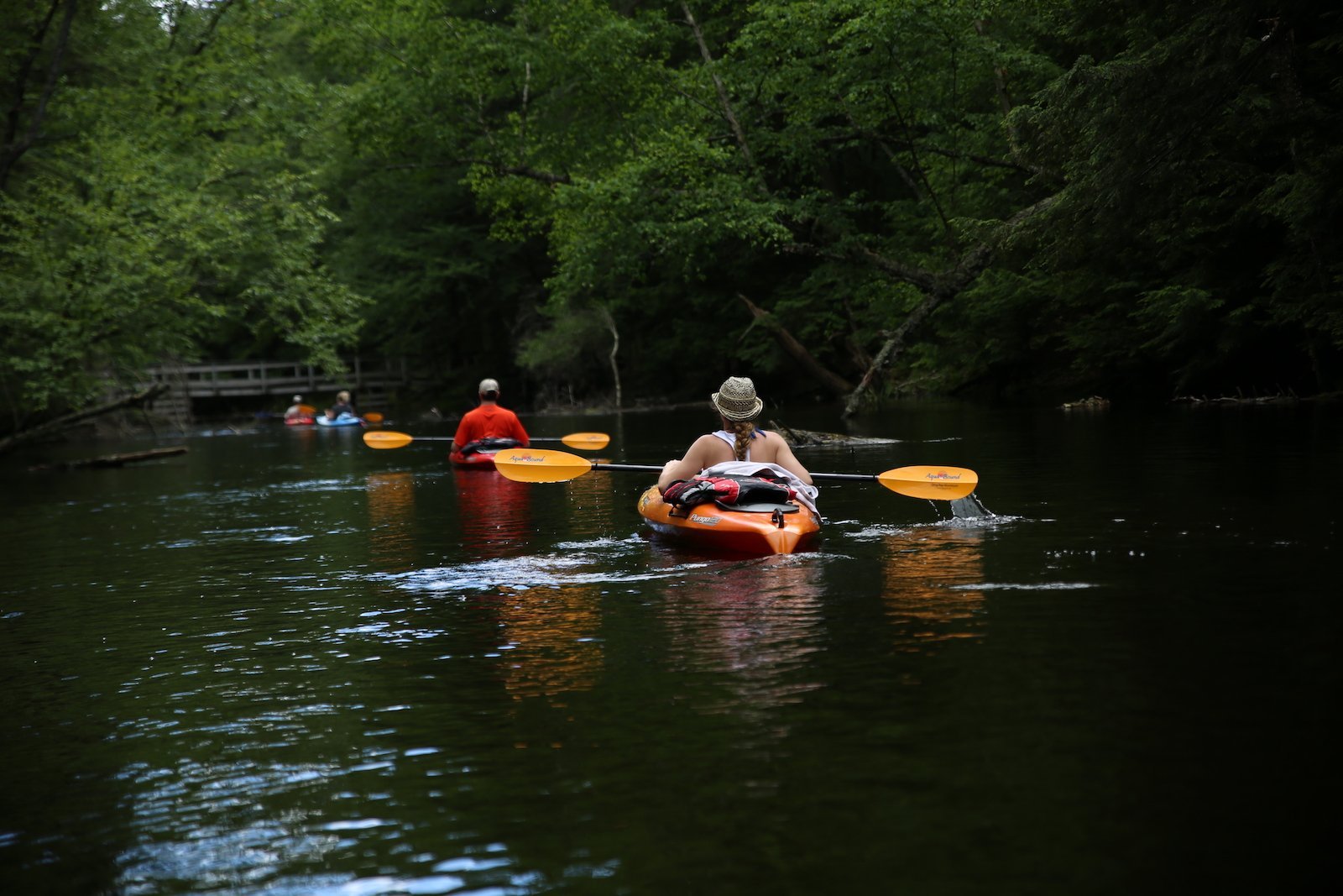 Fish Creek to Rollins Pond - Pure Adirondacks