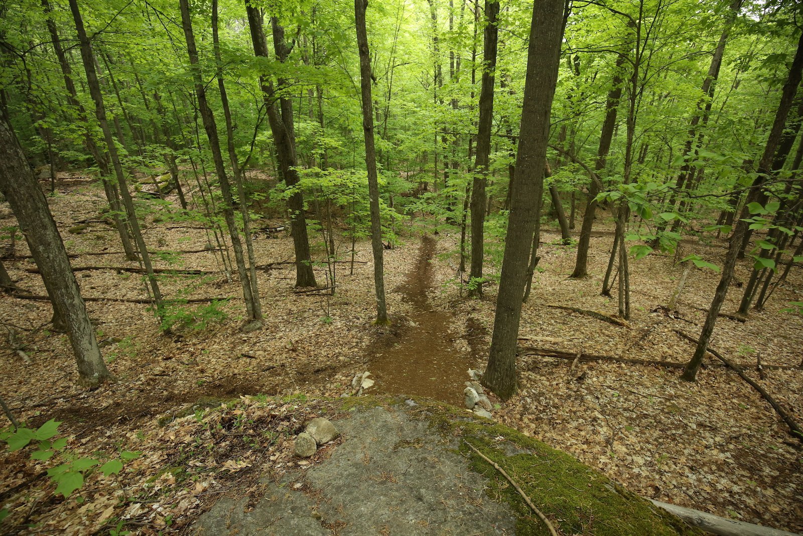 The Flume Trail System - Pure Adirondacks