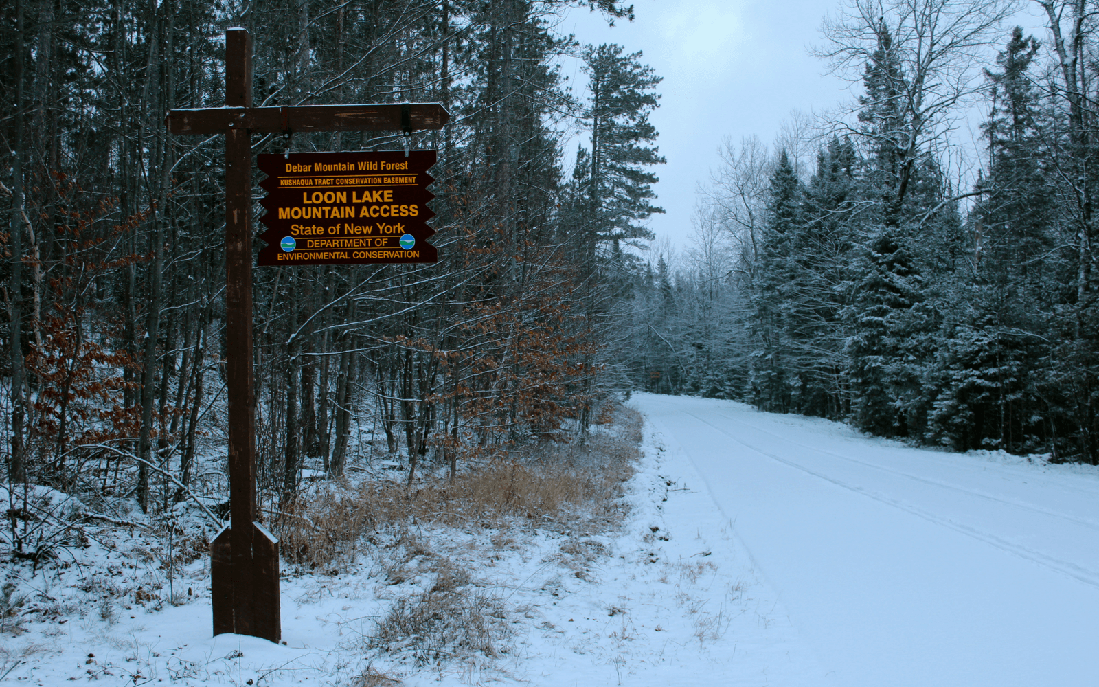 Loon Lake Mountain - Pure Adirondacks