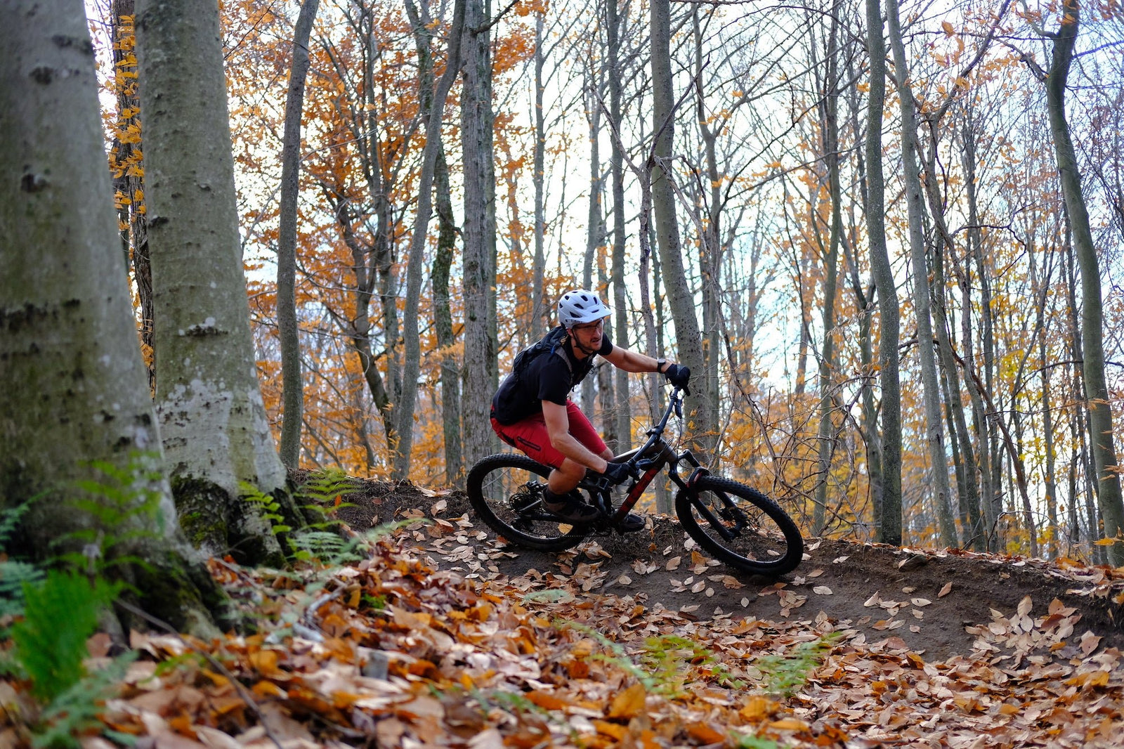 McCauley Mountain | Old Forge, NY - Pure Adirondacks