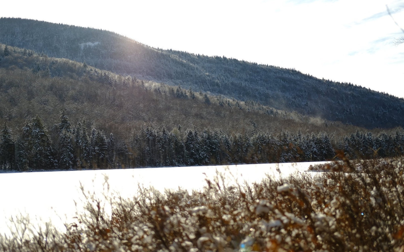 Snowshoe to Puffer Pond - Pure Adirondacks