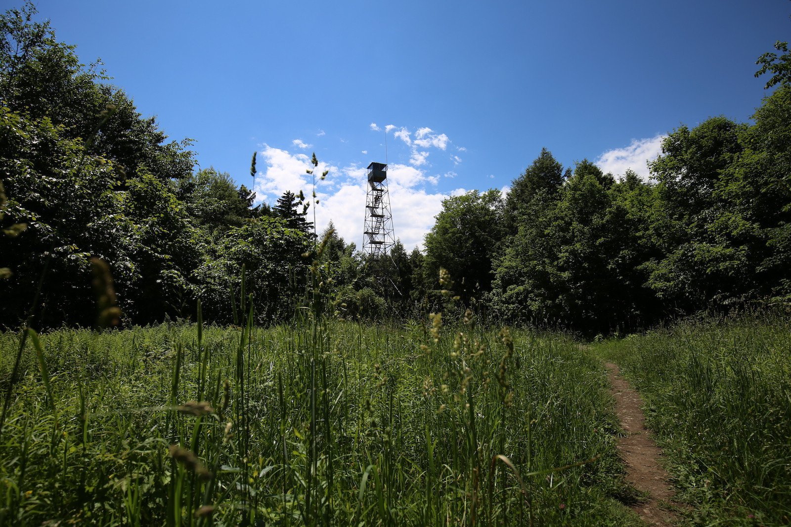 Spruce Mountain - Pure Adirondacks