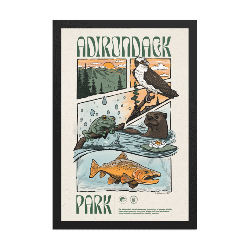 Poster | Adirondack Ecosystem - 2nd Edition