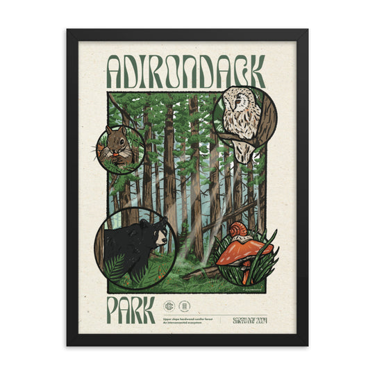 Poster | Adirondack Ecosystem - 1st Edition