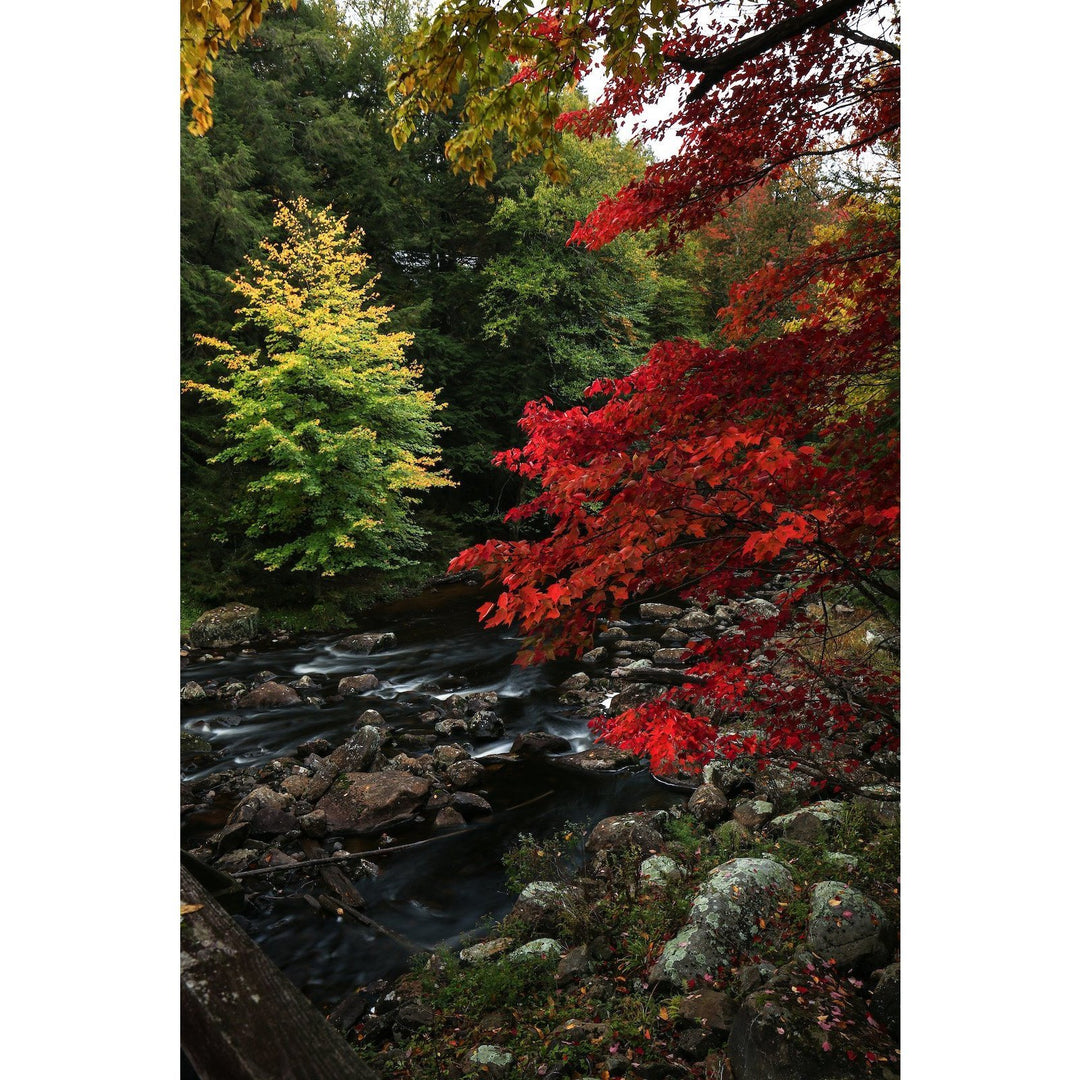Photography Print | Blue Ridge Wilderness - Pure Adirondacks