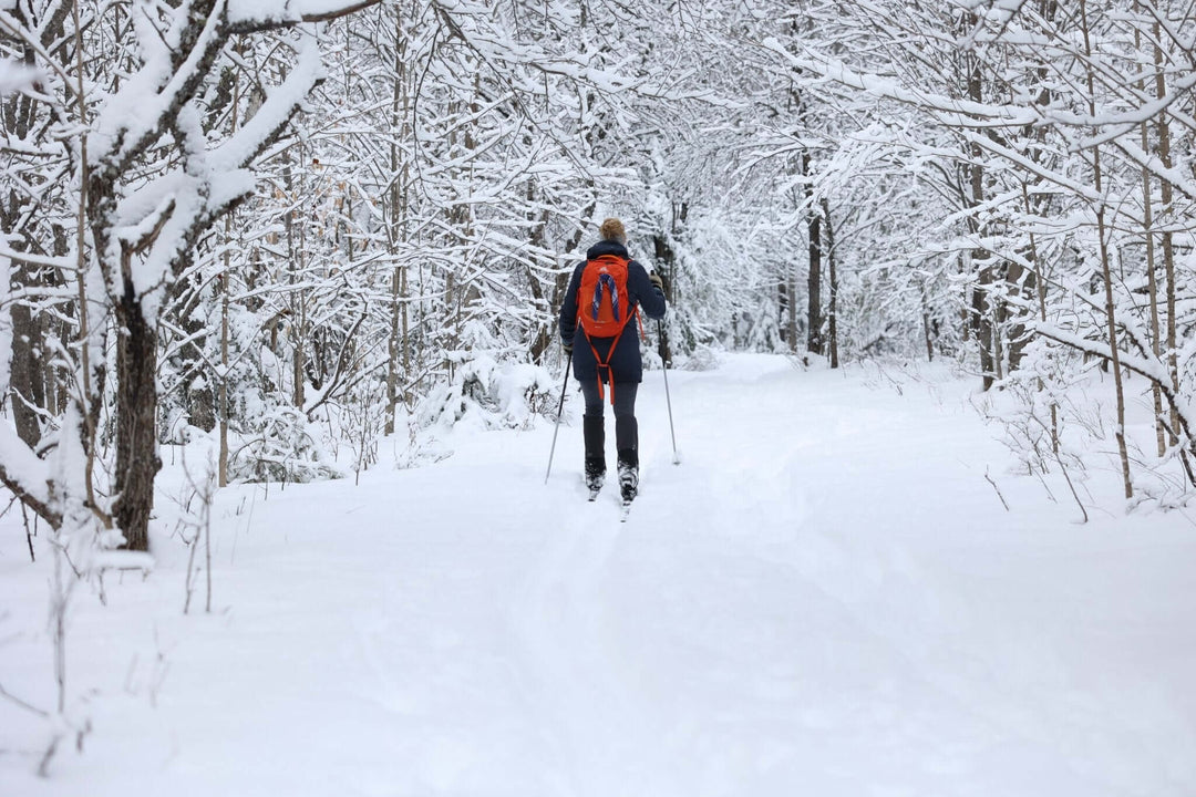 Chasing Snow: A Powder Day at the New Land Trust
