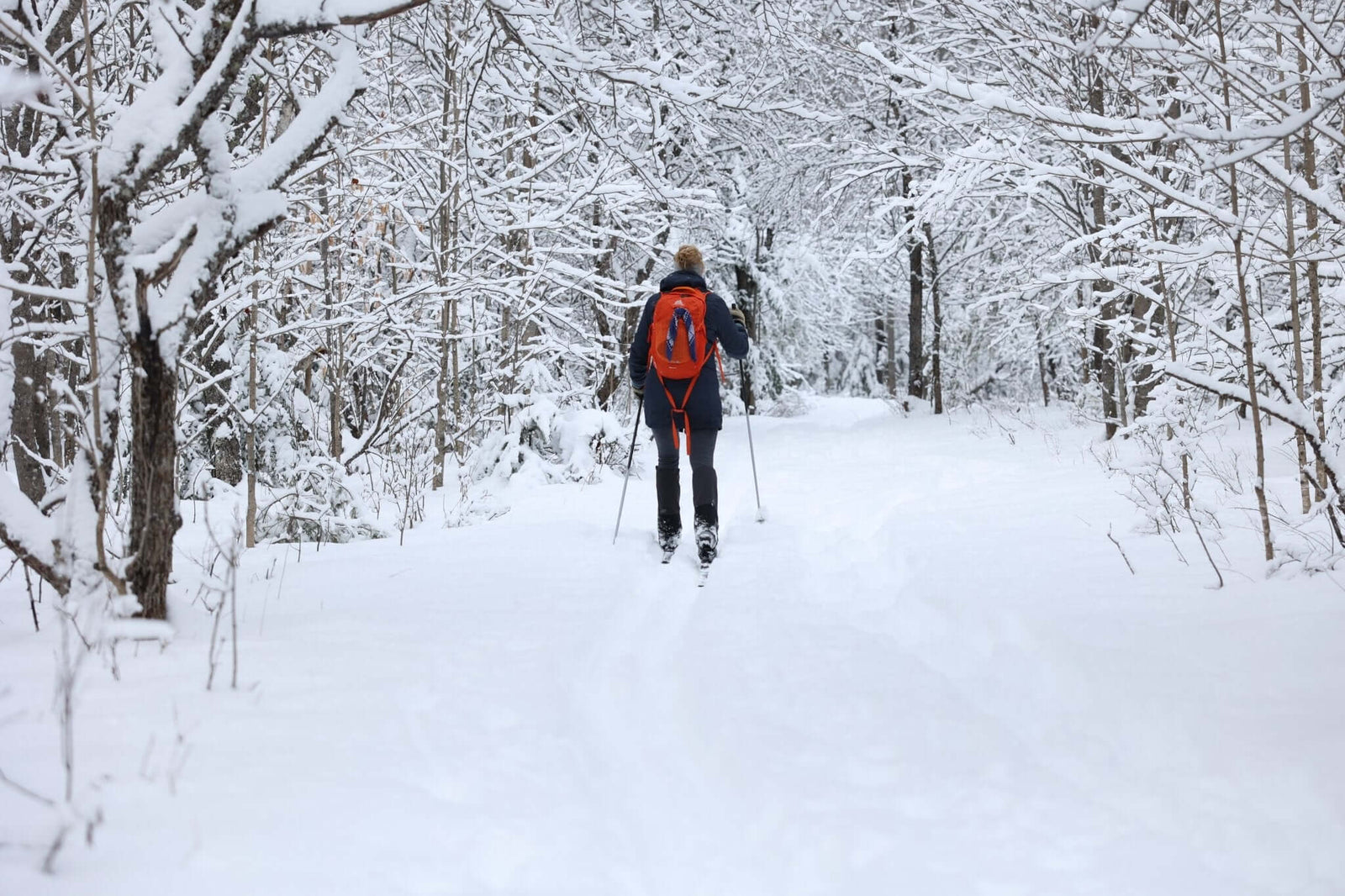 XC-Ski @ New Land Trust - Pure Adirondacks
