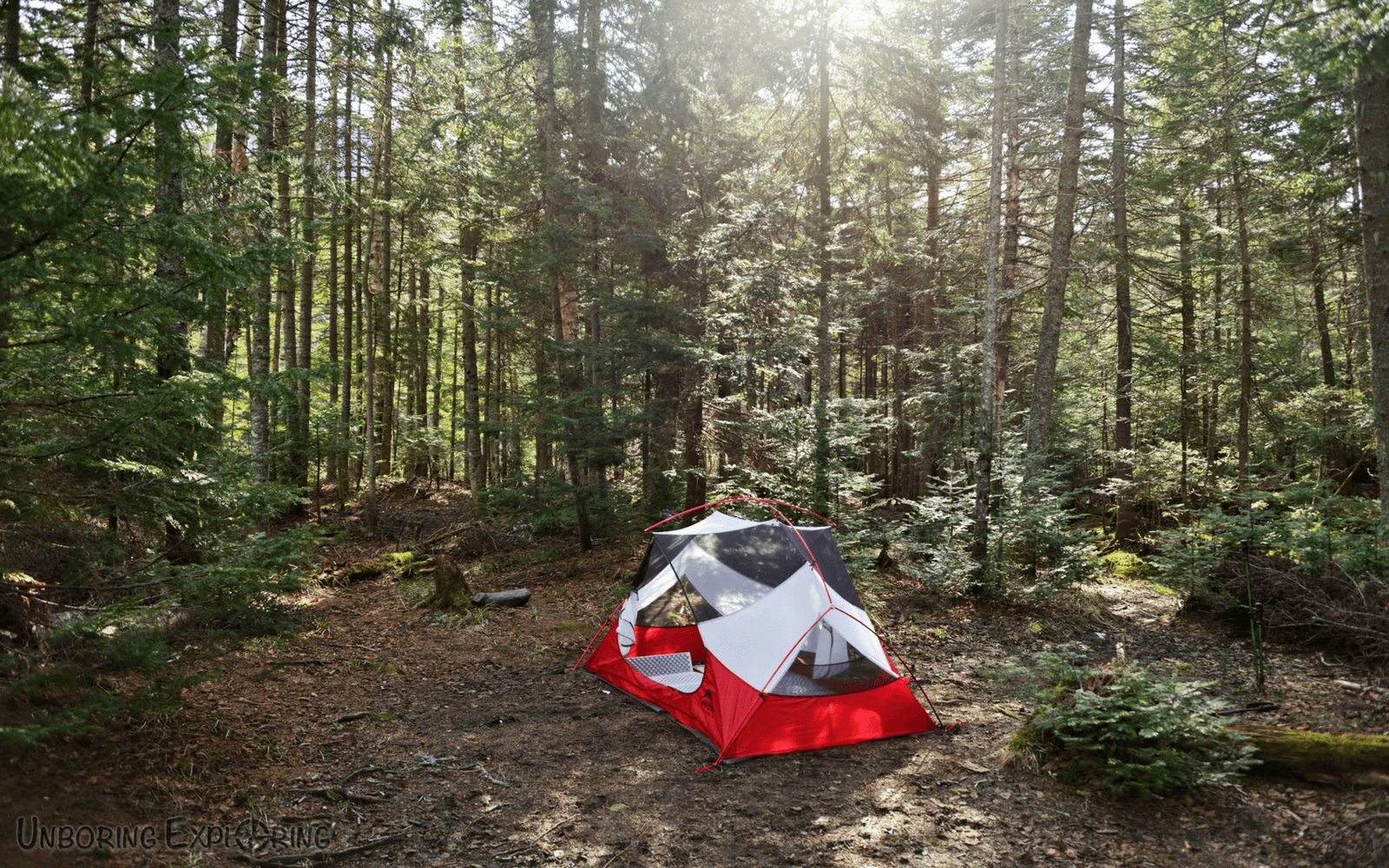 Backpacking Avalanche Pass to Lake Colden Pure Adirondacks
