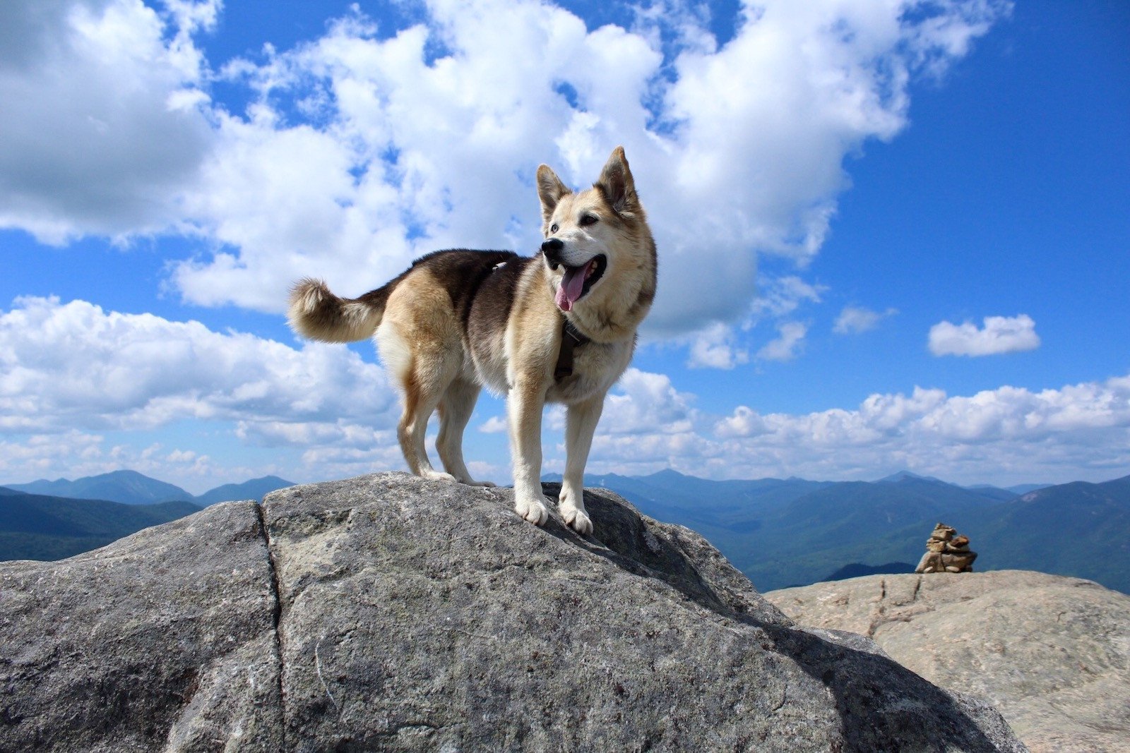 Amber & Ariel's 46er Journey - Pure Adirondacks