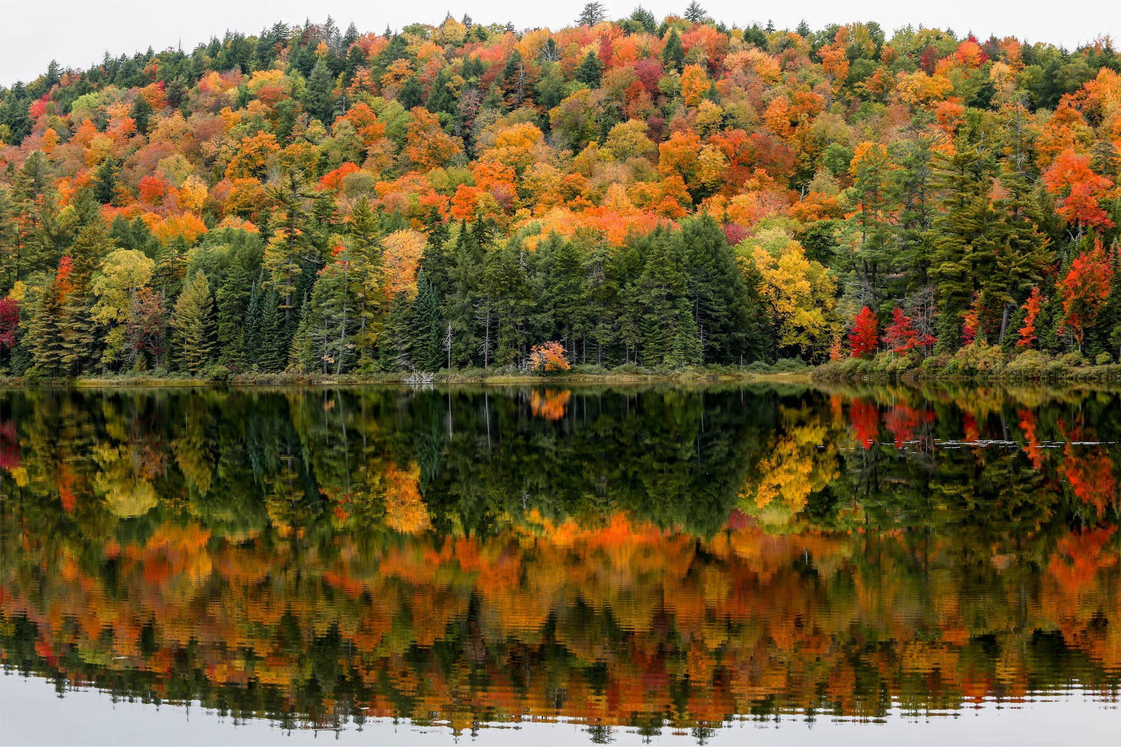 Autumn in the Adirondacks - Pure Adirondacks