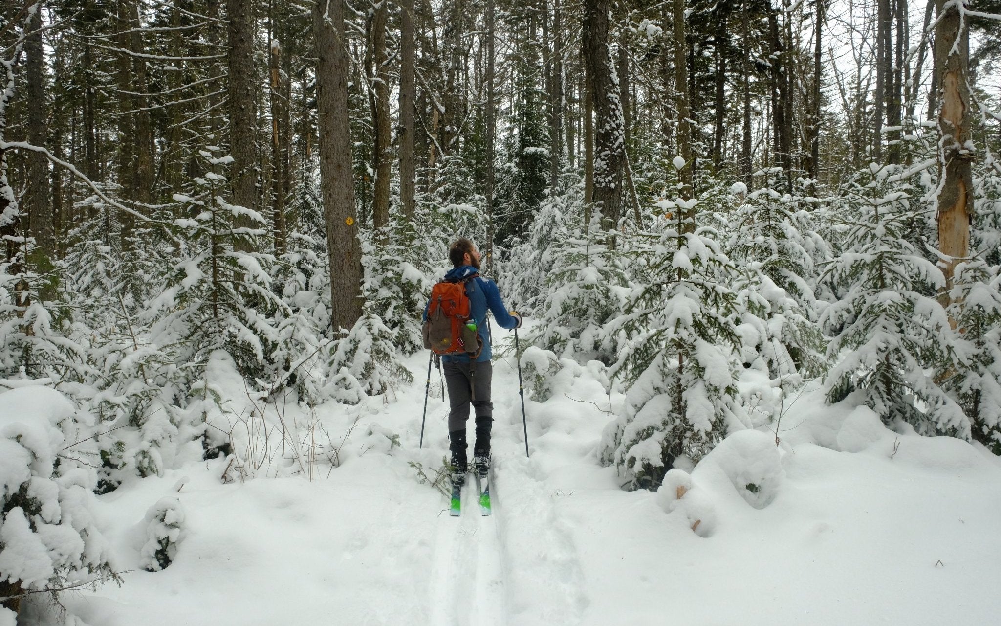 Foxy Brown Ski Loop | Piseco, NY - Pure Adirondacks