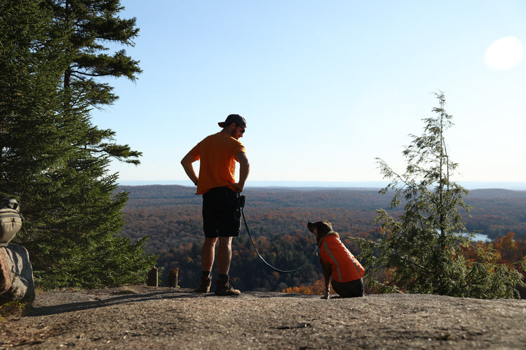 Good Luck Cliffs – Pure Adirondacks