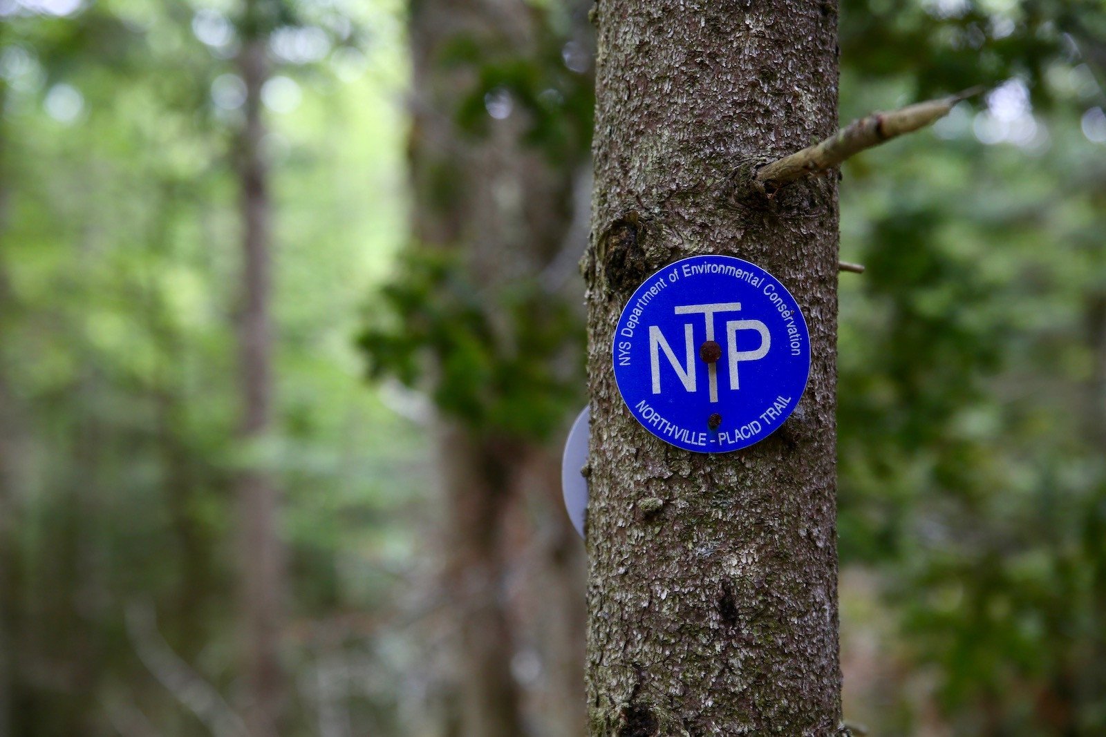 10 Days on the Northville-Placid Trail - Pure Adirondacks