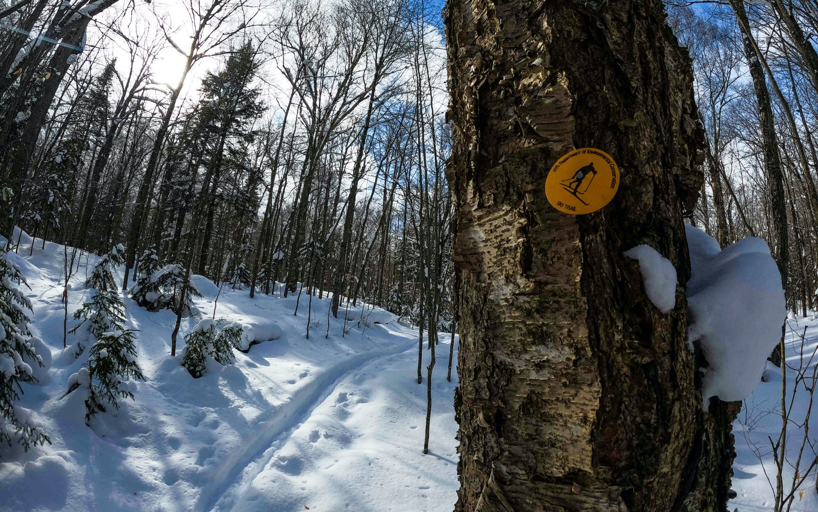 Three-Brook Loop Ski Trail - Pure Adirondacks
