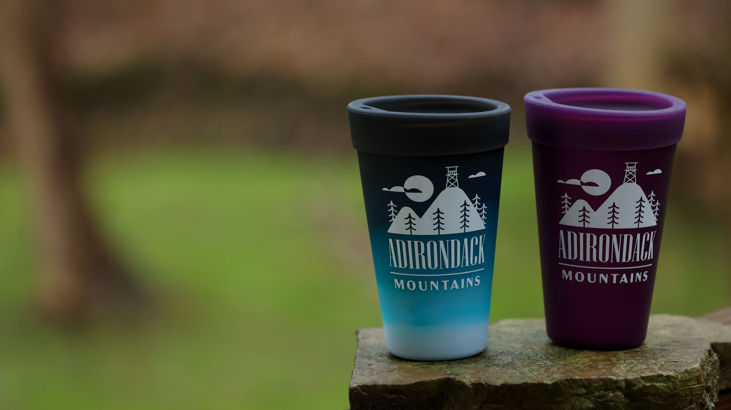Adirondack Mugs