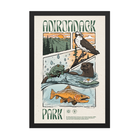 Poster | Adirondack Ecosystem - 2nd Edition