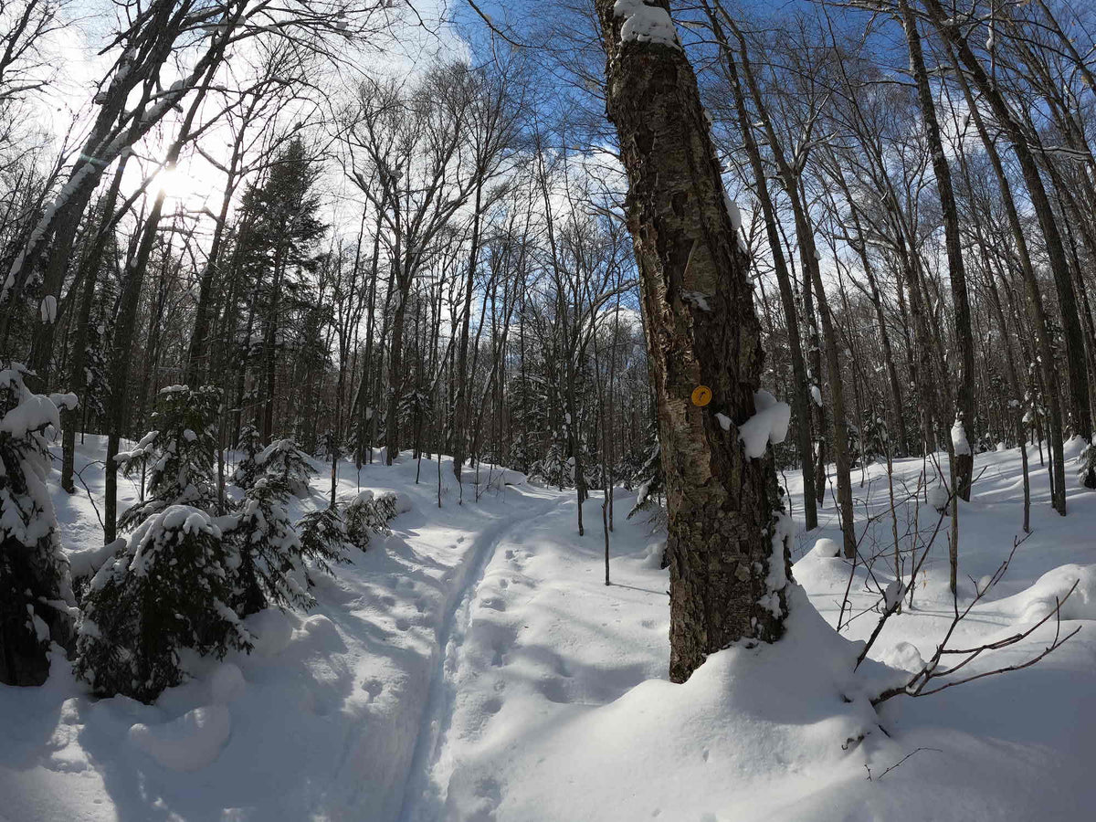Adirondack Skiing Downhill, CrossCountry & Backcountry Touring