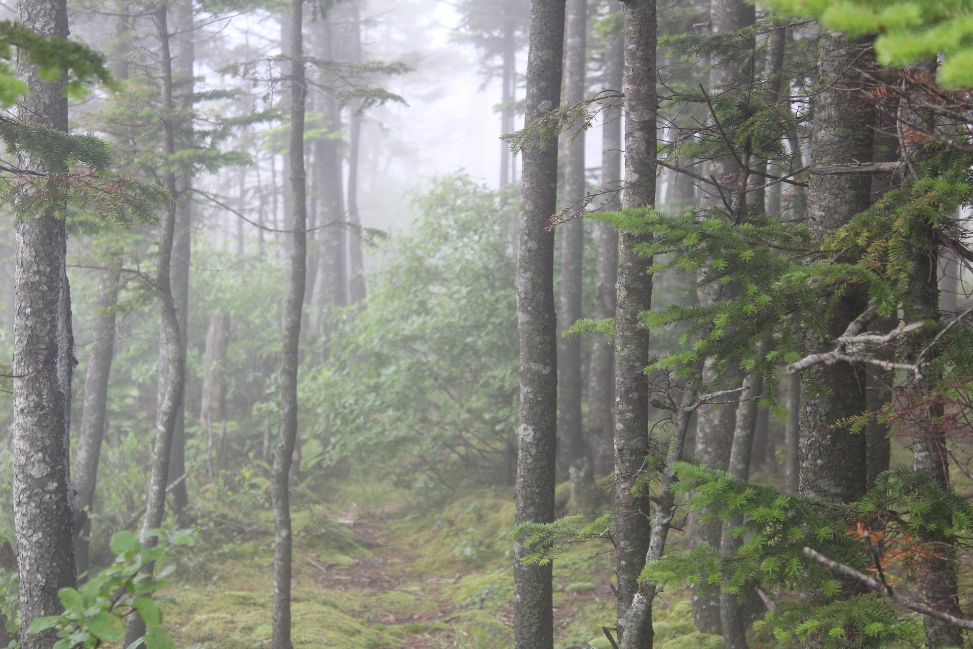 Azure Mountain Adirondack Fire Towers Pure Adirondacks