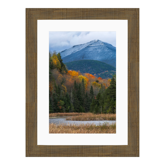 Season's Merge | Premium Fine Art Print