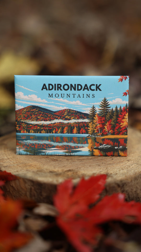Magnet | ADK Fall Foliage