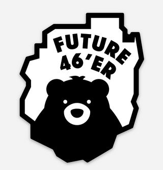 Sticker: Future 46er