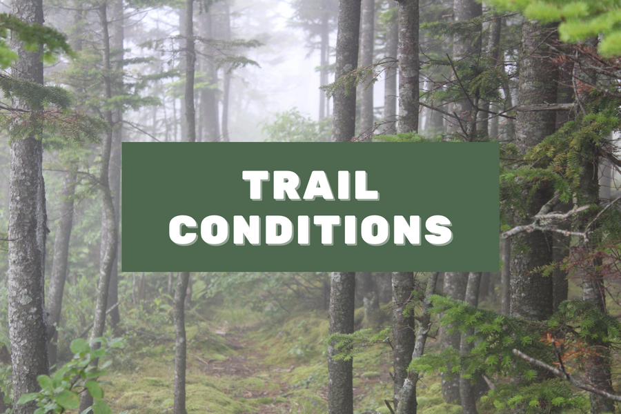 Adirondack Trail Conditions