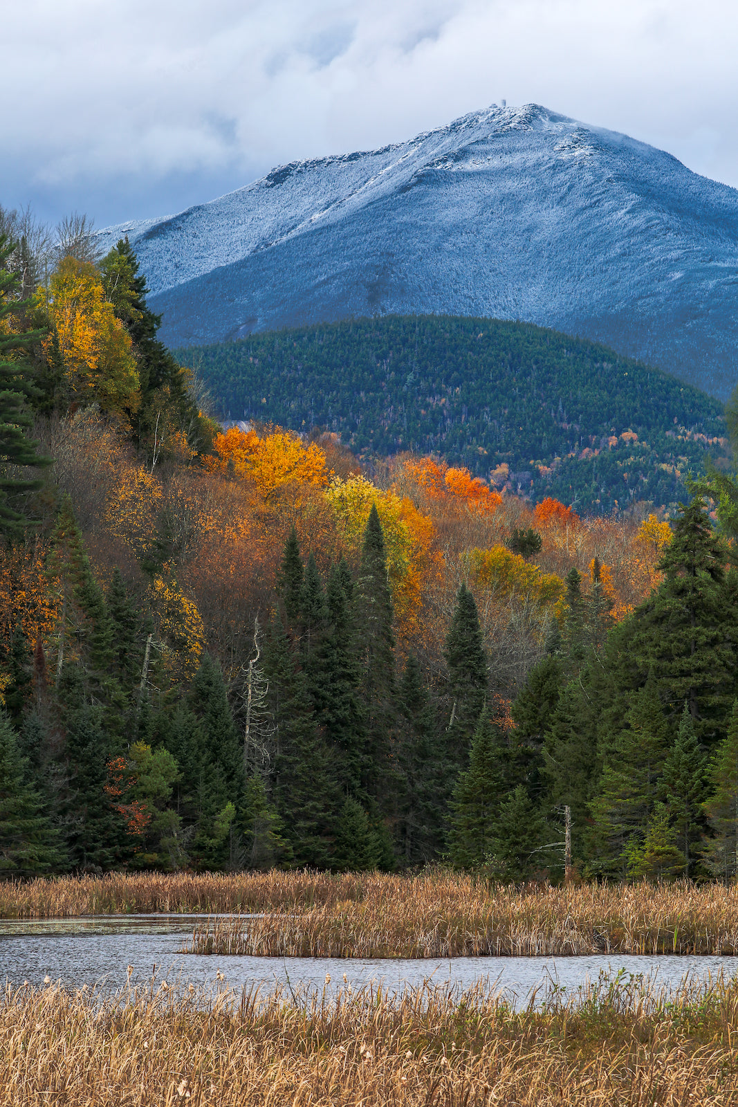 Season's Merge | Premium Fine Art Print