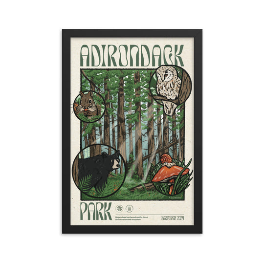 Poster | Adirondack Ecosystem - 1st Edition