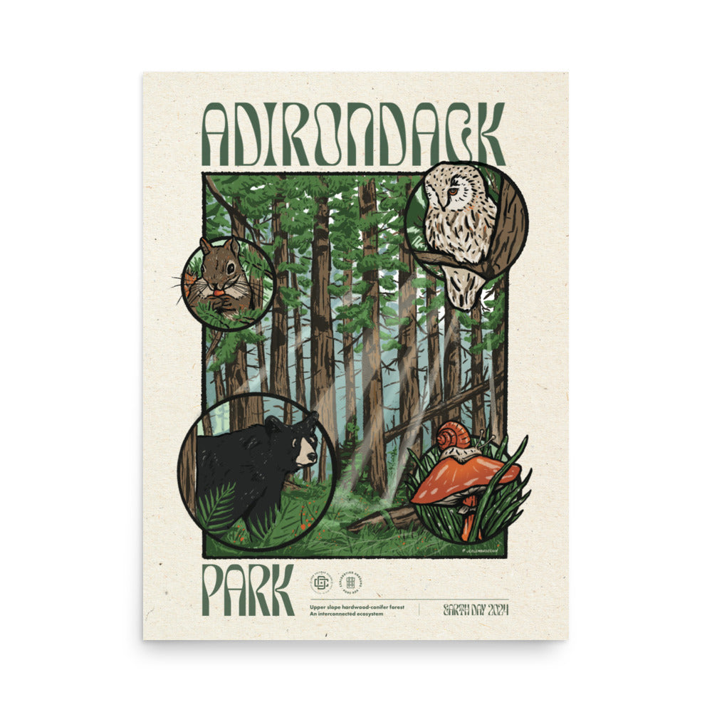Poster | Adirondack Ecosystem - 1st Edition