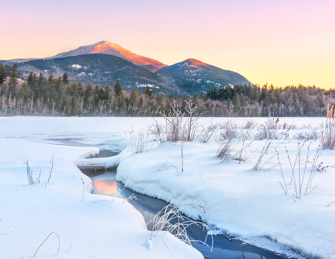 2026 "Forever Wild" Adirondack Calendar