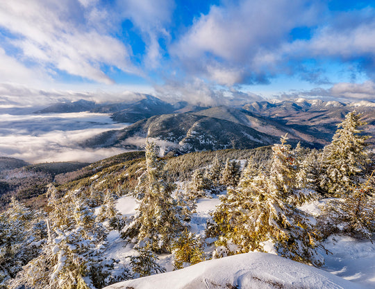 2026 "Forever Wild" Adirondack Calendar