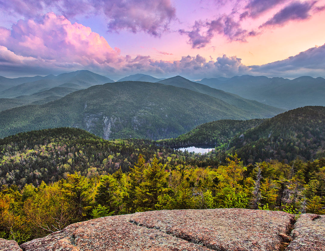 2026 "Forever Wild" Adirondack Calendar