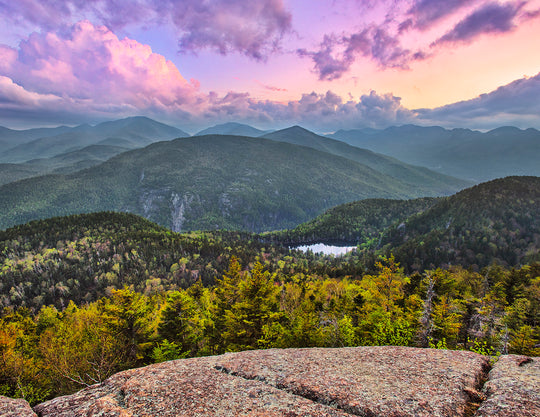 2026 "Forever Wild" Adirondack Calendar