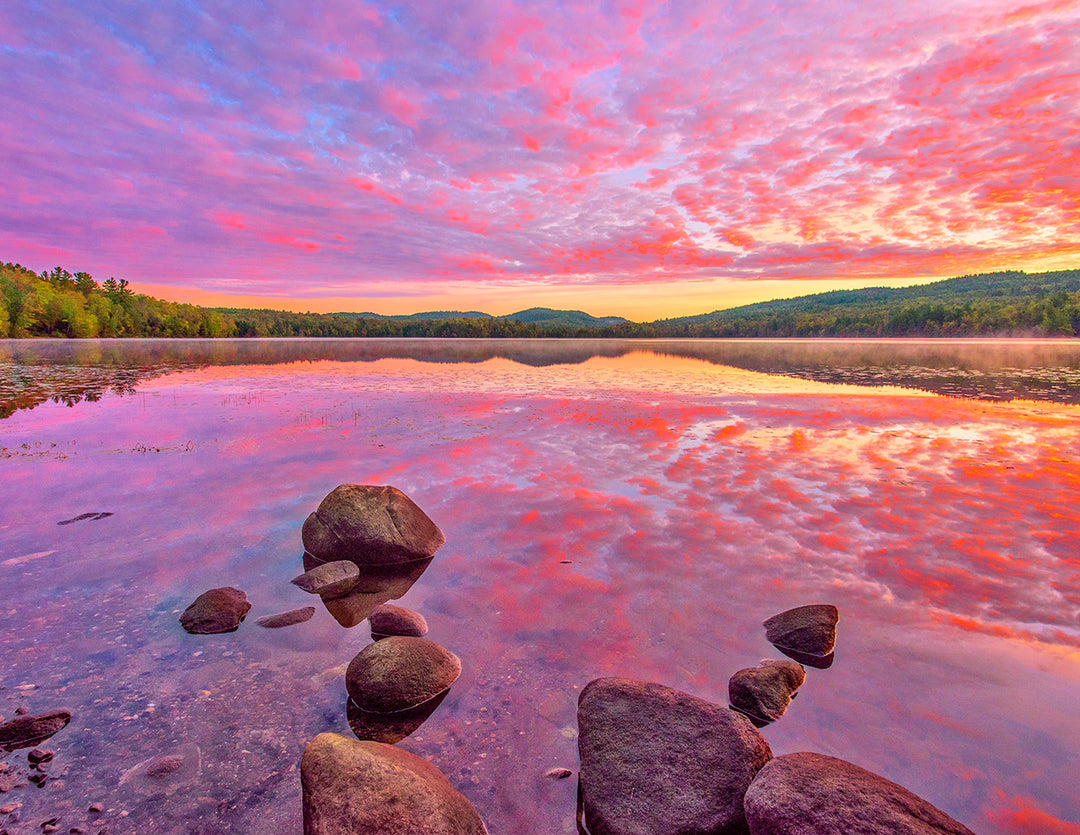 2026 "Forever Wild" Adirondack Calendar