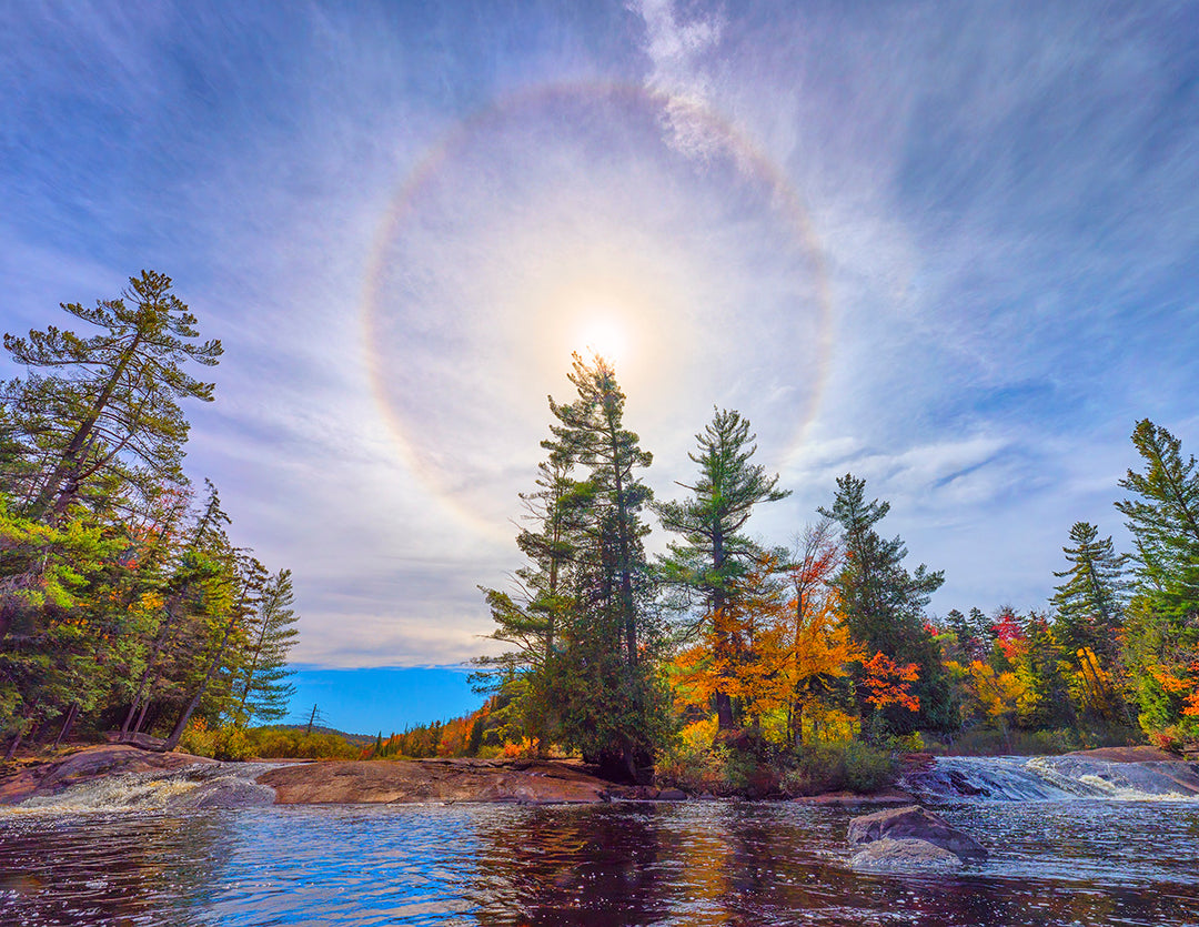 2026 "Forever Wild" Adirondack Calendar