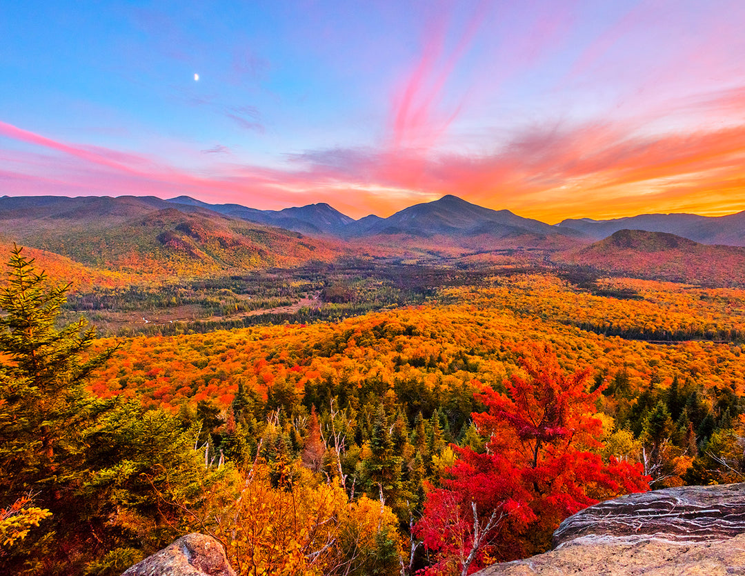 2026 "Forever Wild" Adirondack Calendar