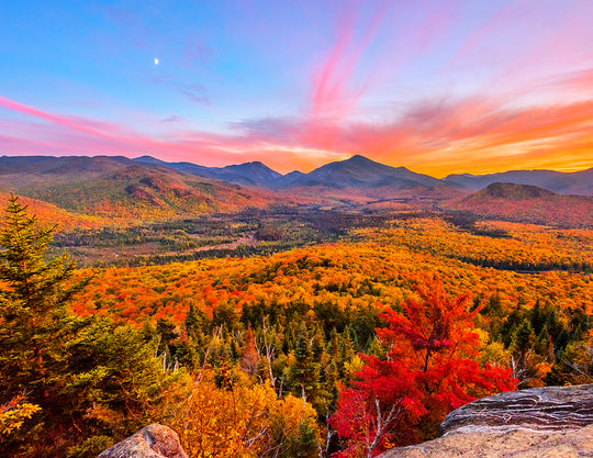 2026 "Forever Wild" Adirondack Calendar