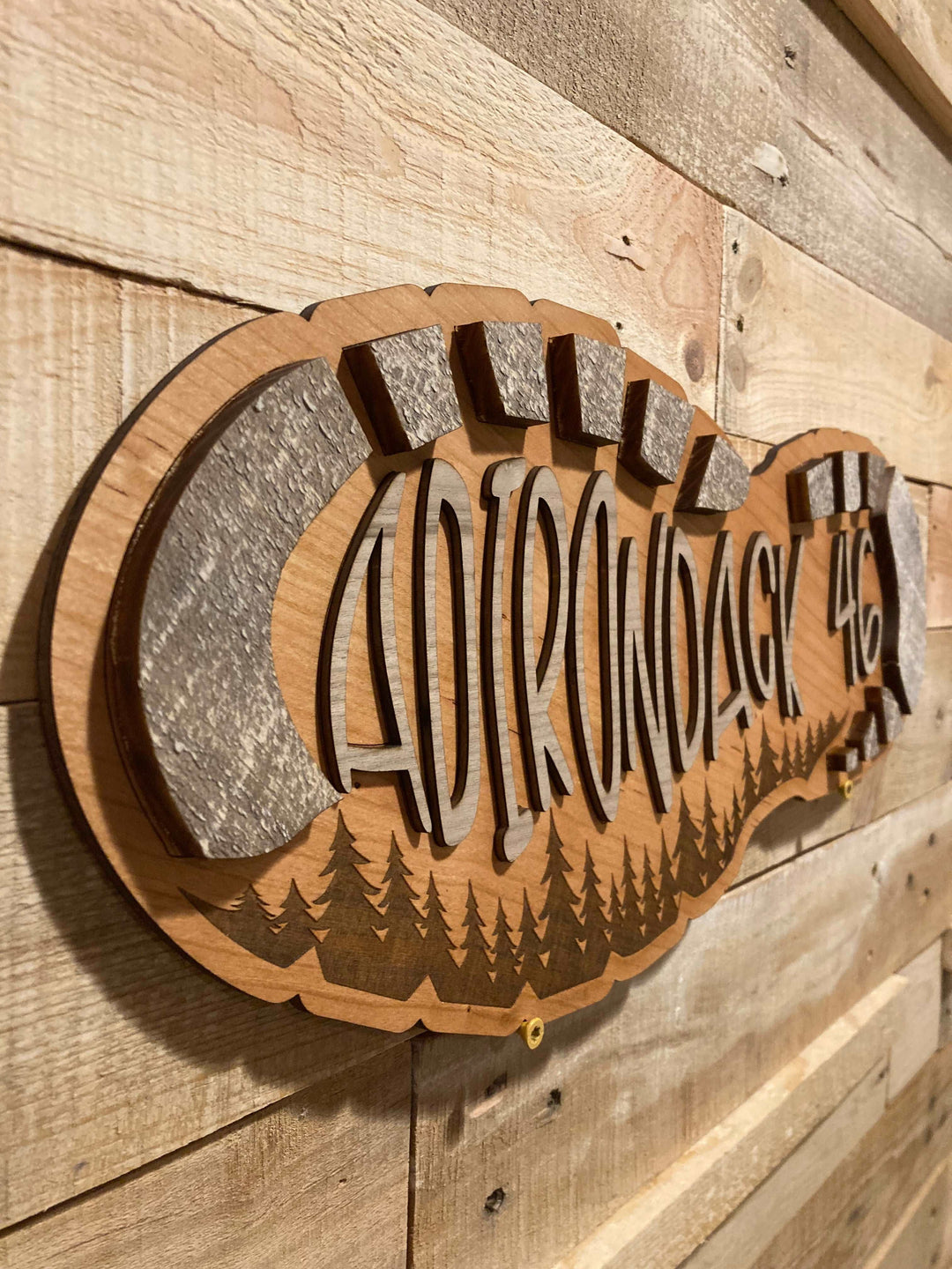 Adirondack 46 Hiking Boot Wall Art