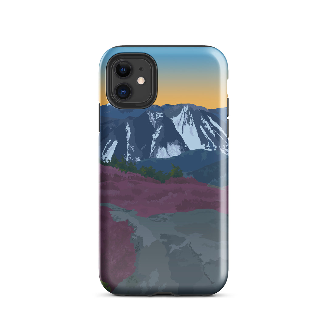 Phone Cases Pure Adirondacks Phone Cases Pure Adirondacks