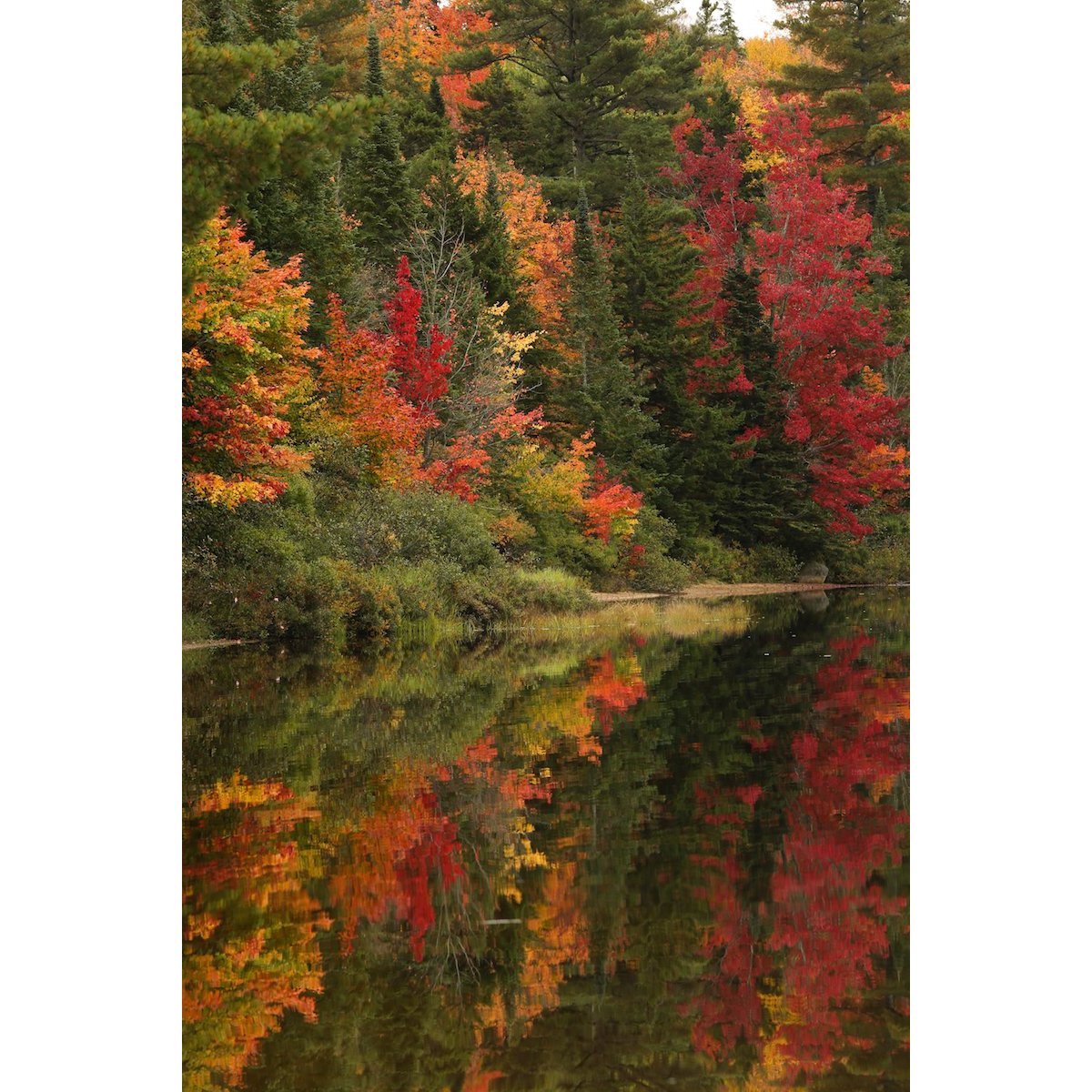 Photography Print | Autumn Reflection - Pure Adirondacks