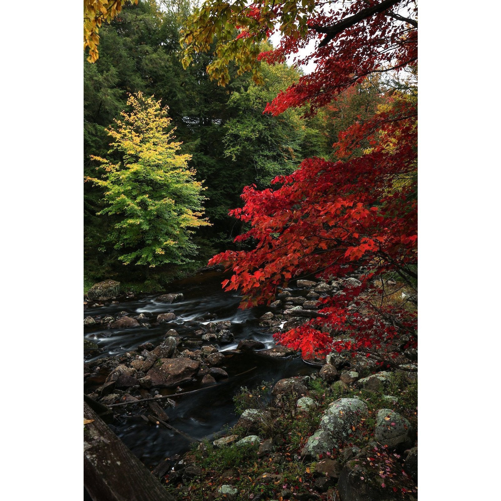 Photography Print | Blue Ridge Wilderness - Pure Adirondacks